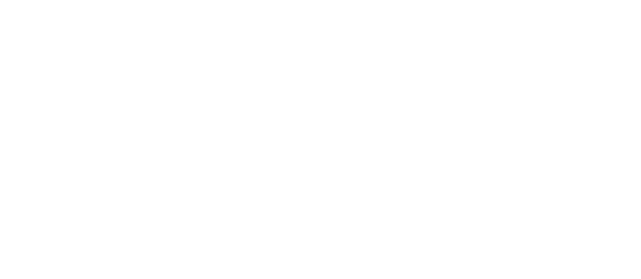 Logo Kreissportbund Salzgitter e. V.